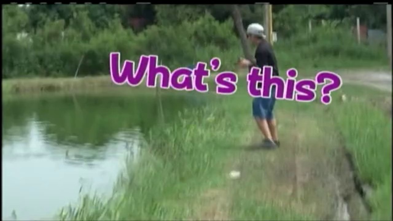 タイ　怪魚②