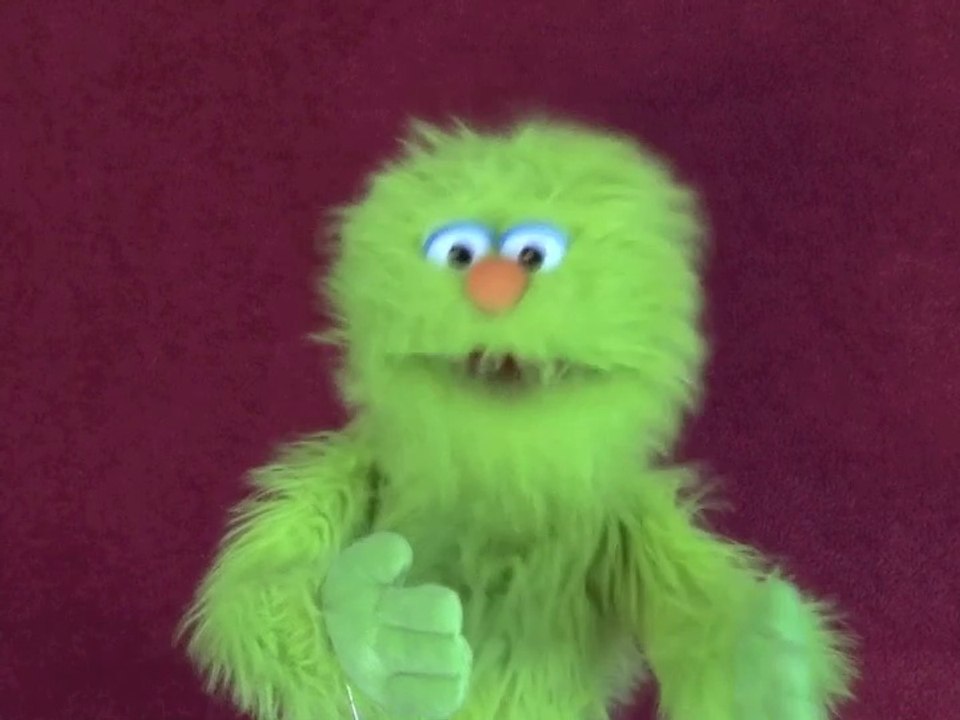 Puppet loves a Mystery Book