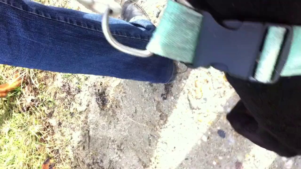CAISER et sa maigreur