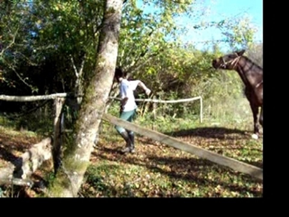 Fossé Leg EM