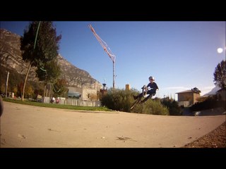 TailWhip Loris