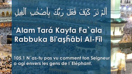 Apprendre la sourate Al-Fîl (L'Éléphant) [arabe/phonétique/français]