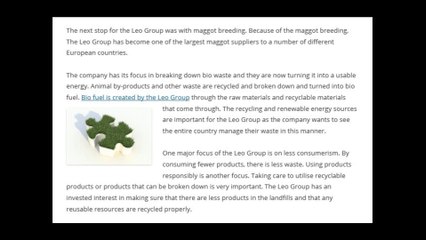 Leo Group | Humble Beginnings