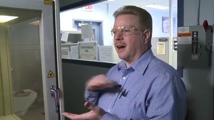 Ford Mustang chocolate