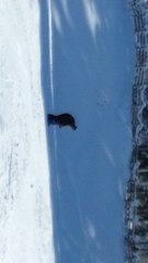 séance ski avec papa