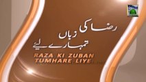 Raza Ki Zuban Tumharay Liye Ep 20 - Bad Mazhabon Ke Pas Bethna Haram Hai