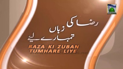 Raza Ki Zuban Tumharay Liye Ep 23 - Allah Muafi Ko Pasand Farmata Hai