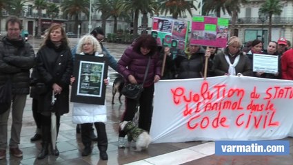 Manifestation pour le droit des animaux à Toulon