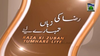 Raza Ki Zuban Tumharay Liye Ep 22 - Allah Se Bara Kareem Koi Nahi