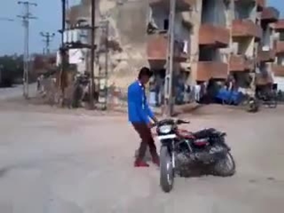 Vaches vs Motard