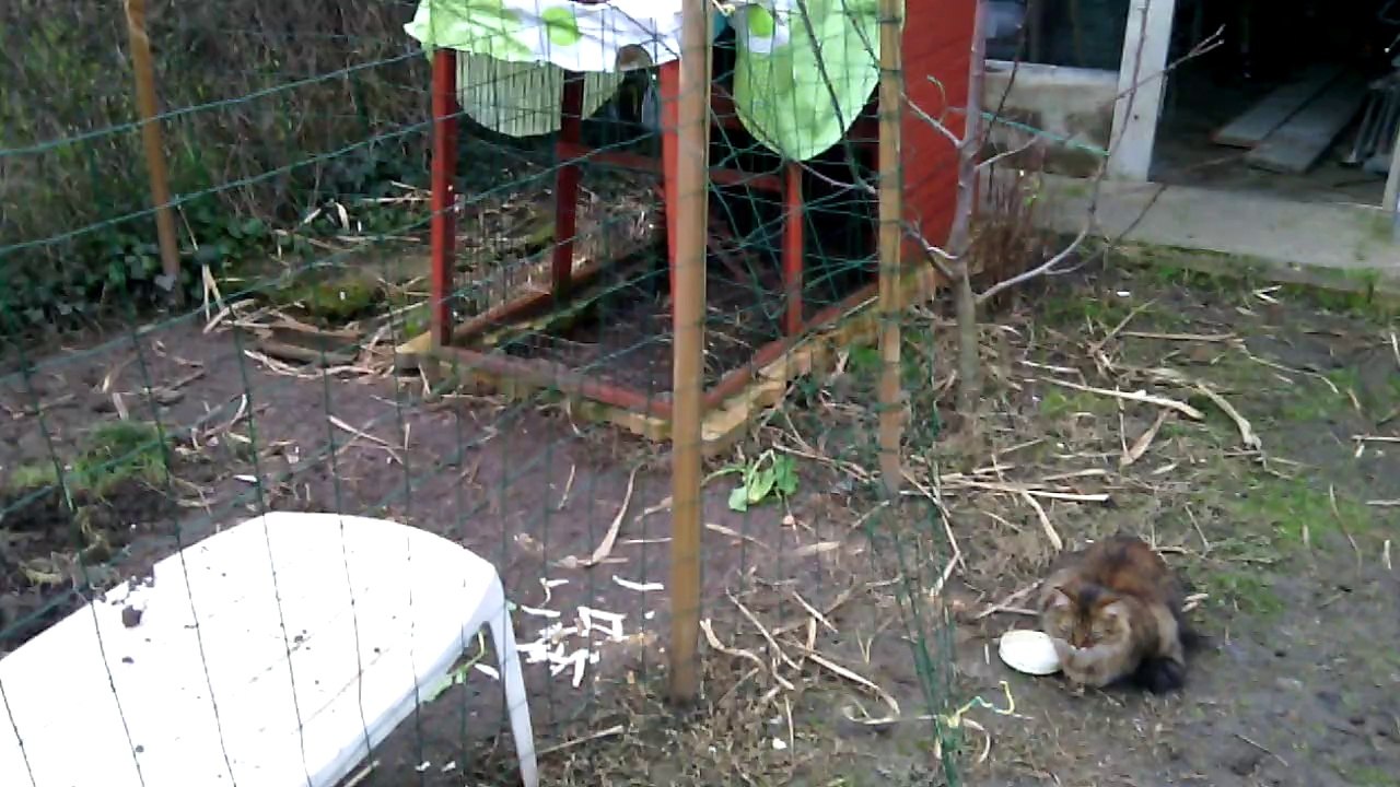 Jardin février 2014