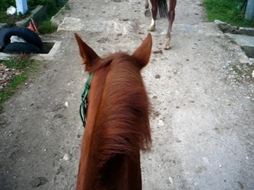 mon etwale