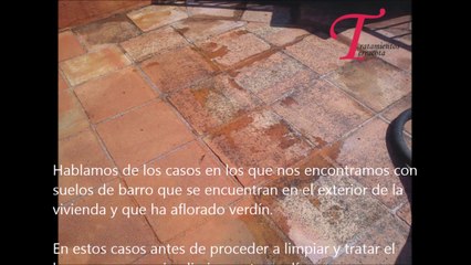 Eliminar verdín en suelos de barro