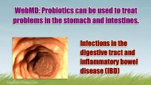 Digestive Enzymes: Probiotics Proven Effective For Digestive Problems