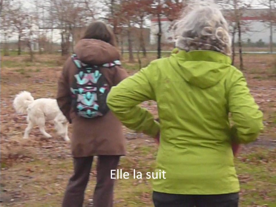 Exemple d'écoute lors d'une séance collective