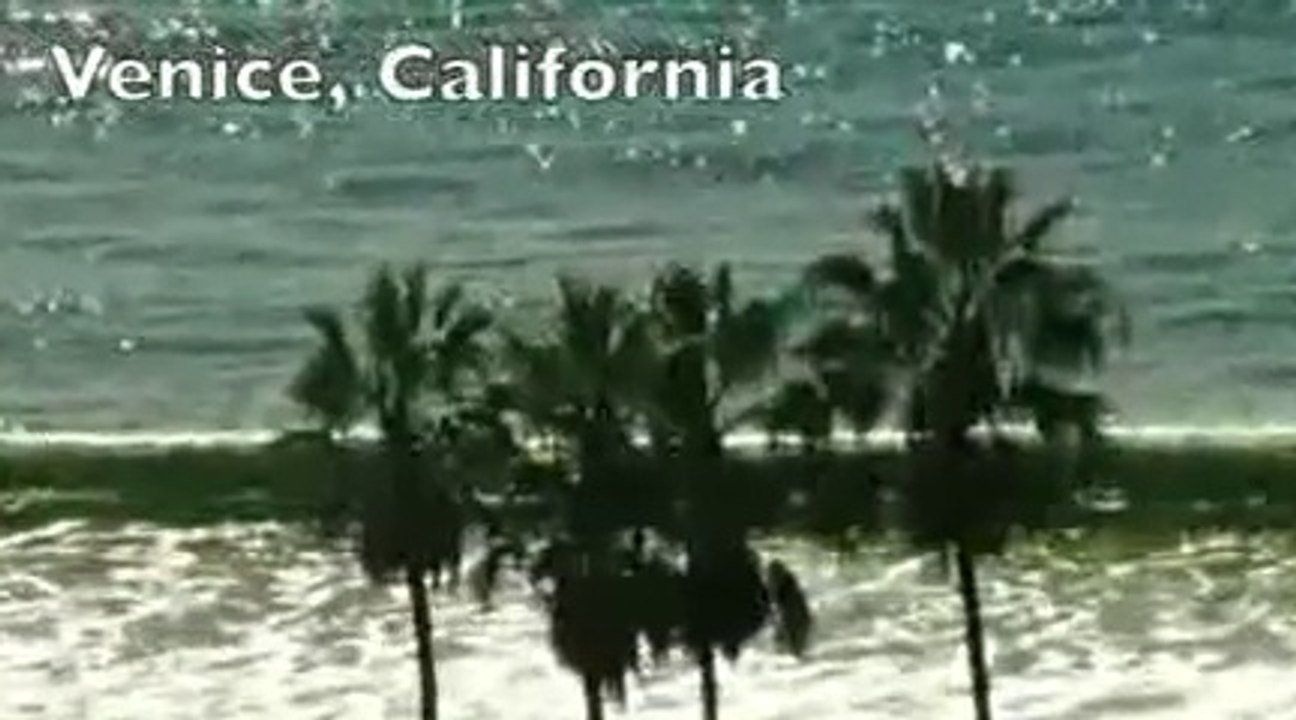 A Serial Killer on the loose in Venice, California