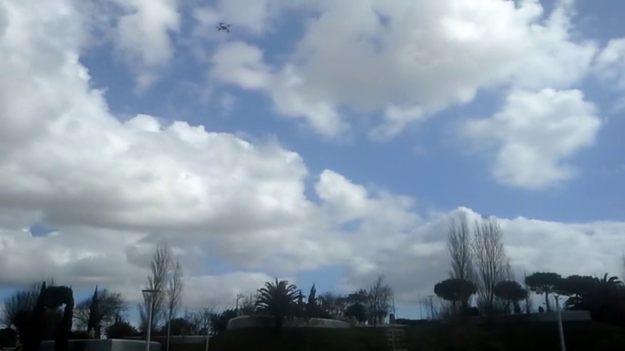 Drones no Jardim II - LR (PT)