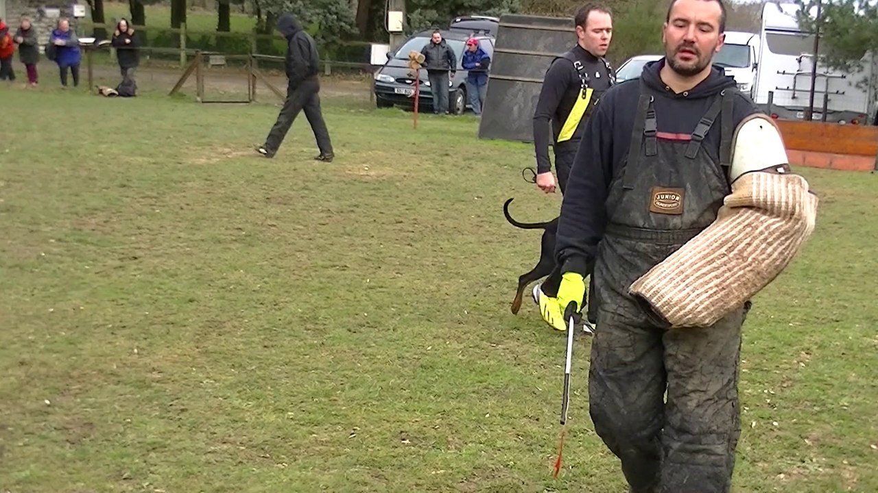 Viona von der ZONSER HEIDE