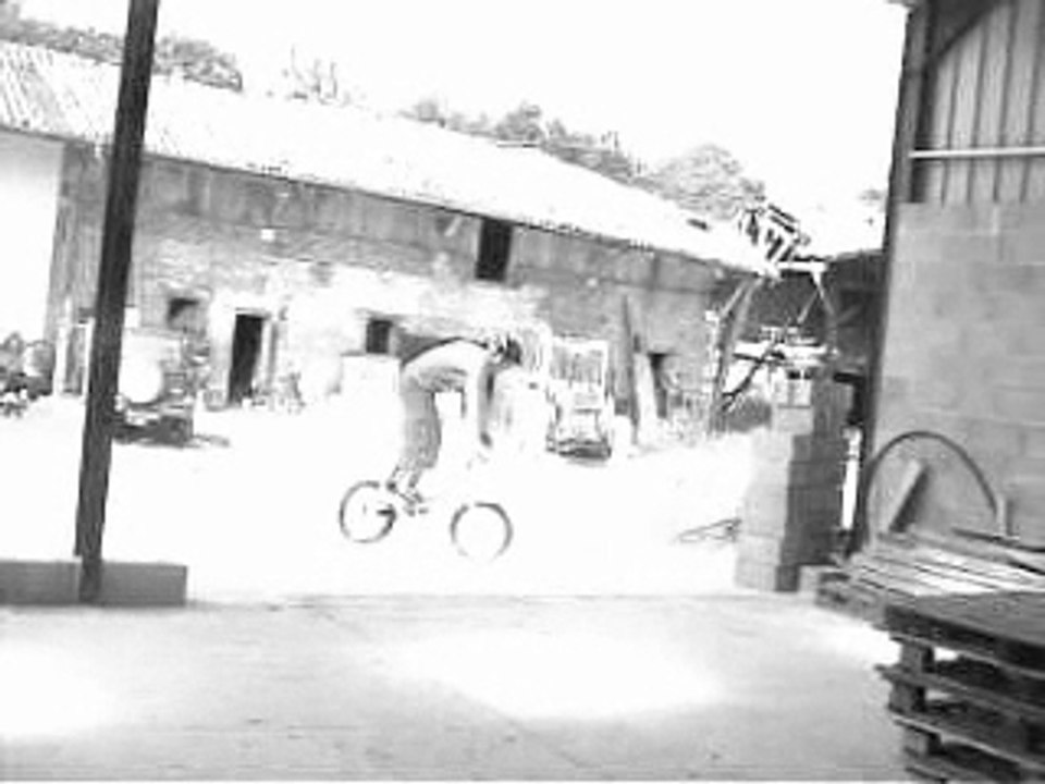 steph bike 20''