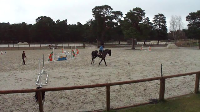 AIR DE FAMILLE 2nde séance d'obstacles monté au grd parquet fevrier 2014
