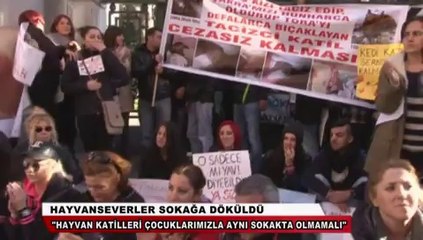 Kedi işkencesi hayvanseverleri sokağa döktü