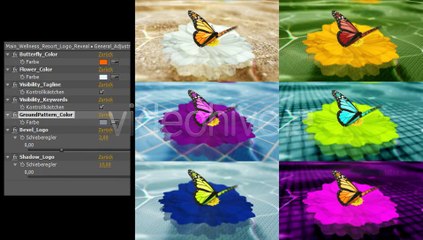 Wellness Resort Logo Reveal