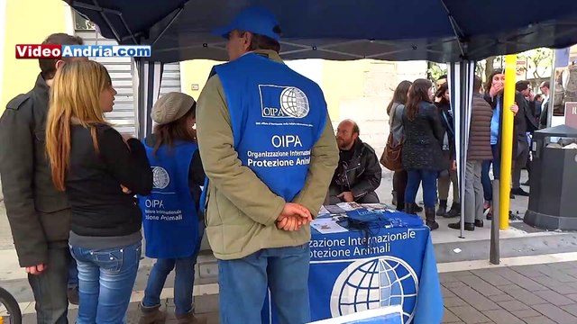 L'Oipa di Andria raccoglie fondi per aiutare Ray, il cucciolo non vedente