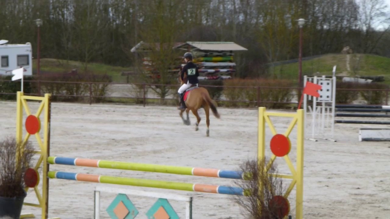 ORANGE DES MAUVES BRAZEY 09 02 2014