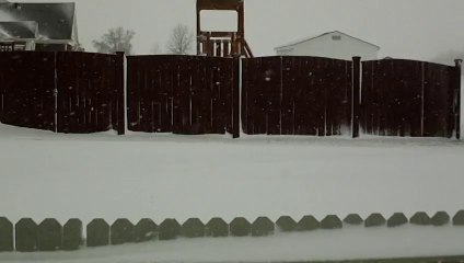 Snow Out My Back Door.