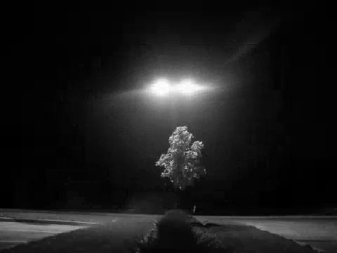 Erdal Merdan - Urfa Sana Kusmus