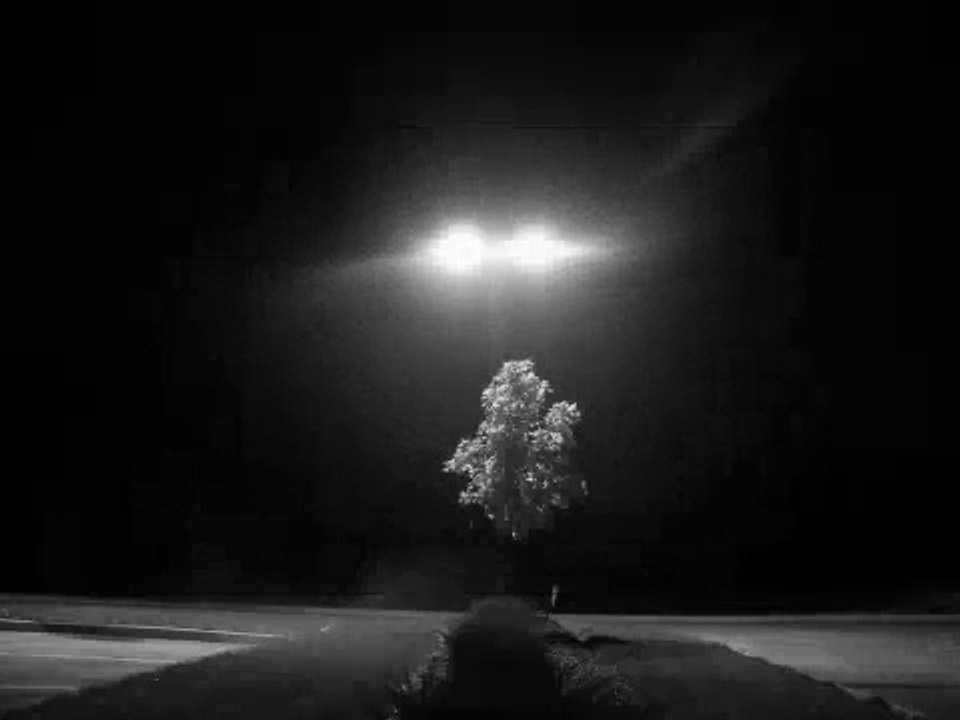 Erdal Merdan - Urfa Sana Kusmus