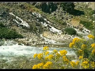 BAHAR GELMİŞ BAGLARIMA