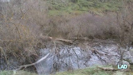 Desastre en el bajo Tormes, el río olvidado