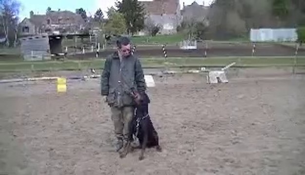 daickodu bois de liers travail regard fevrier 2014