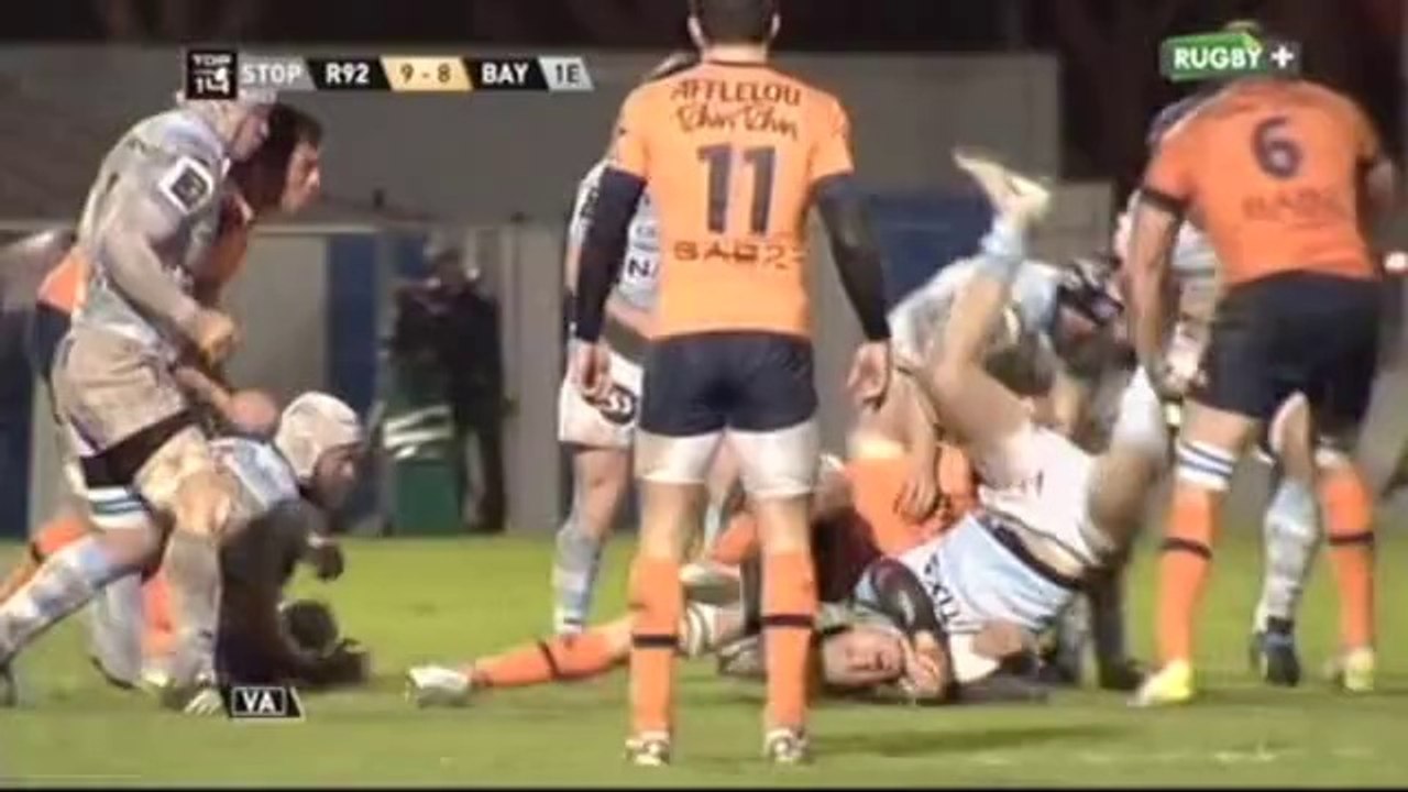 Puricelli plante Planté