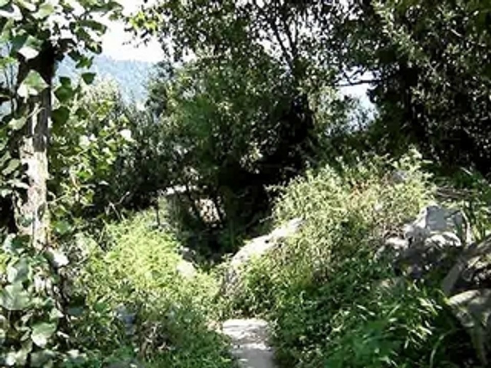 A walk home