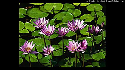 apple jolly christmas facebook ronan blaney clarification meeting with yousiefhabtu%40lookahead.org.uk