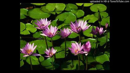 apple jolly christmas facebook ronan blaney first flawed meeting with investigator