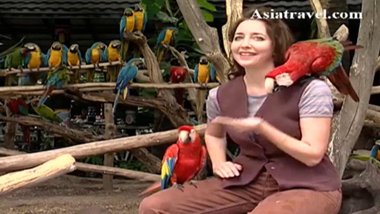 Safari World, Thailand by Asiatravel.com