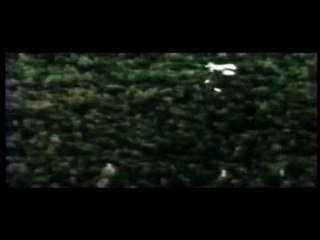 medine - 11 septembre (clip)