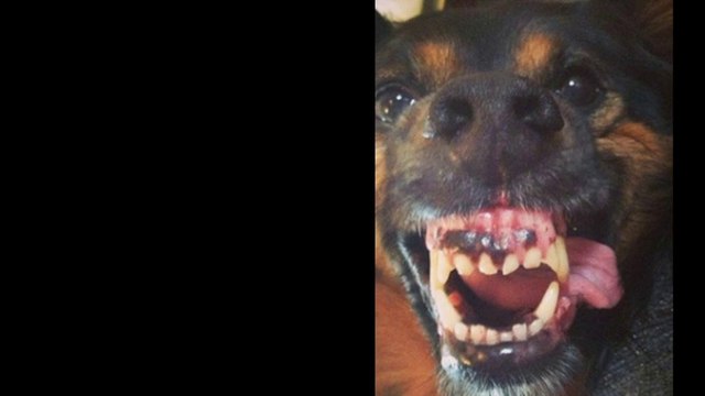 Home Inspector Sacramento | Sacramento Home Inspection, Inc.