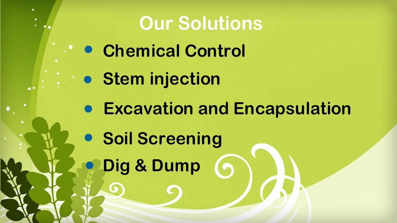 Invasive Plants
