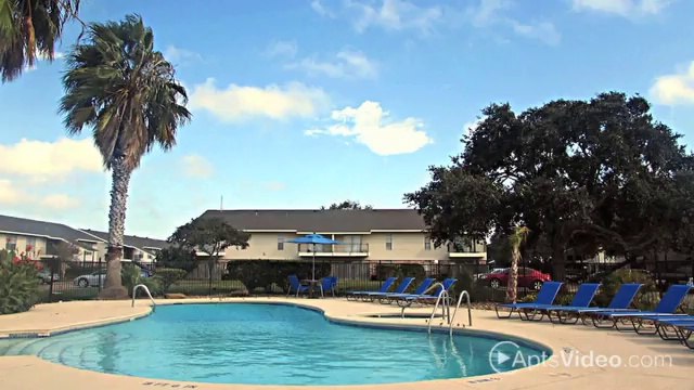 Palm on SPID Apartments in Corpus Christi, TX - ForRent.com