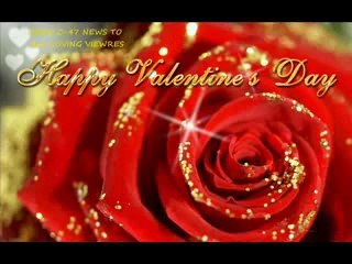 happy velentiine's day to all viewers of C-47 NEWS.