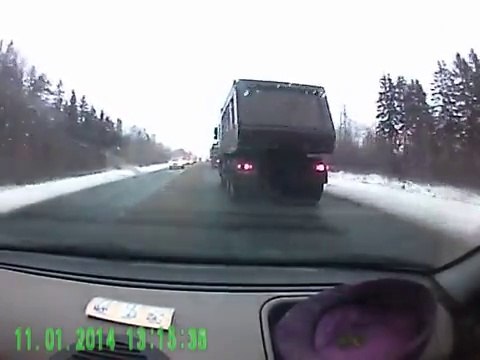 Un chat conduit une voiture et provoque un accident