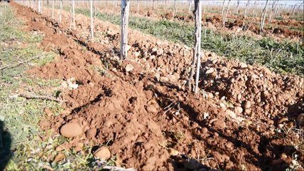 Explication et démonstration d une Décavaillonneuse par Mr Faure de la maison Egretier