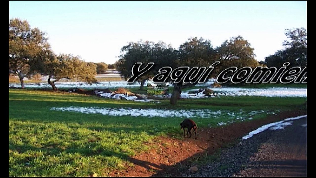 Los Pánchez en invierno