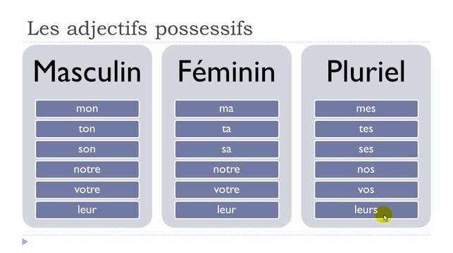 Learn French #Unit 2 #Lesson D = Les adjectifs possessifs