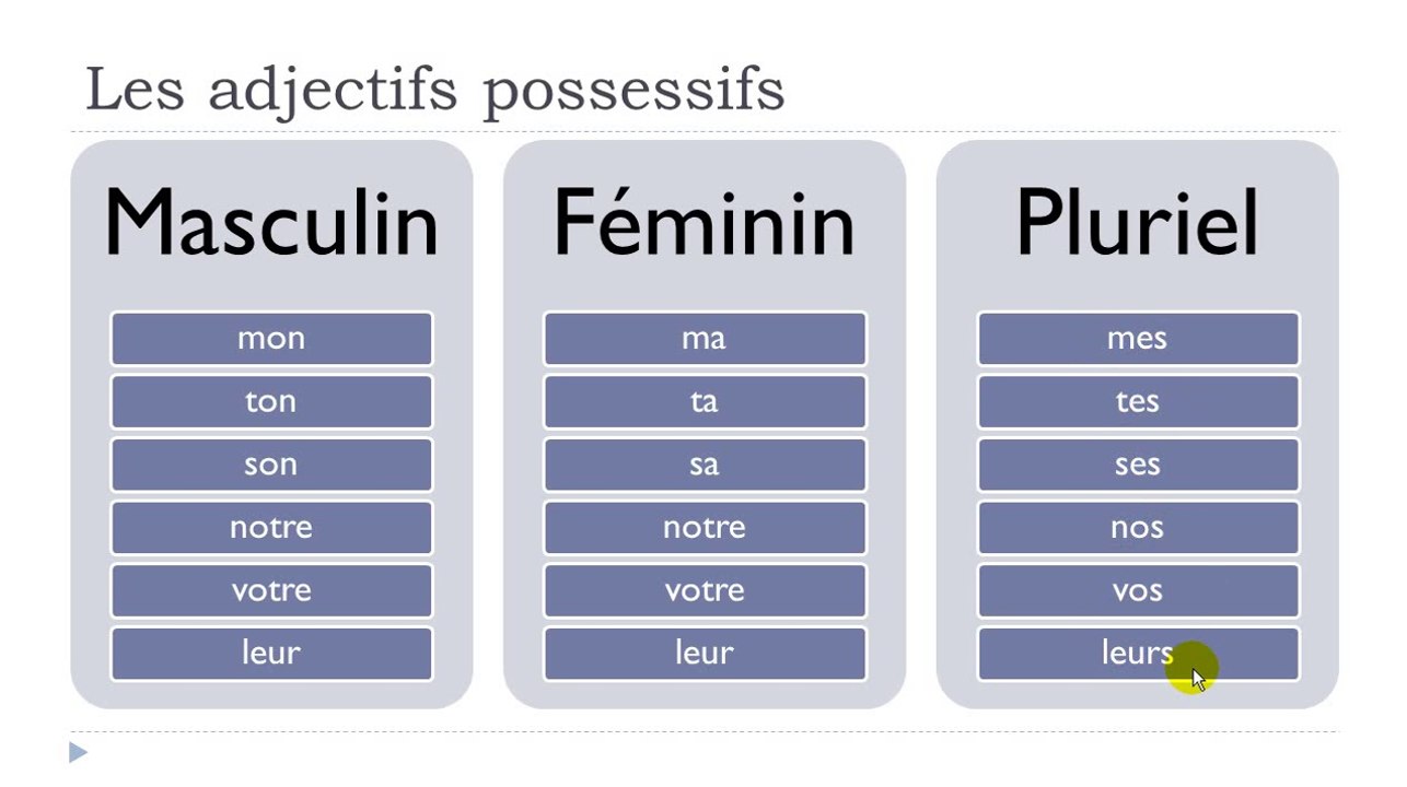 Learn French #Unit 2 #Lesson D = Les adjectifs possessifs