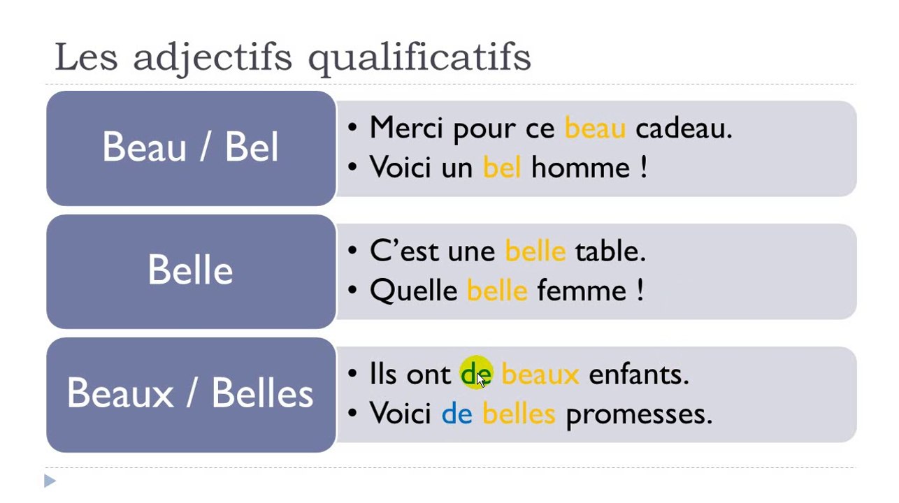 Learn French #Unit 5 #Lesson E = Les adjectifs qualificatifs